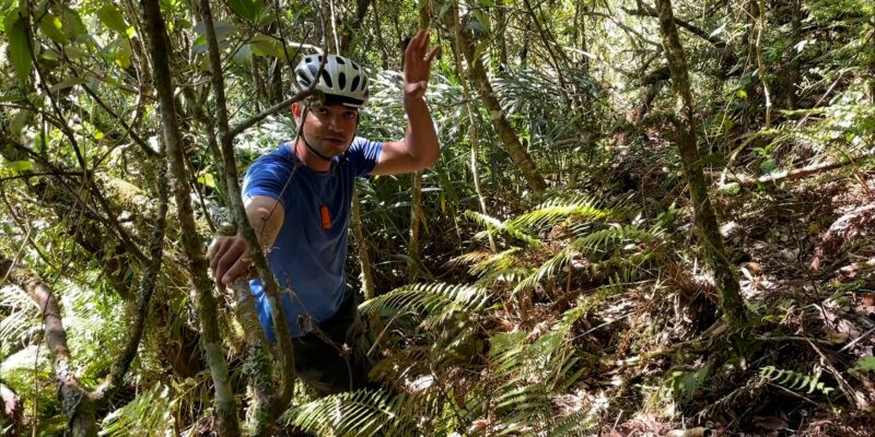 Expédition botanique et maronage dans les hauts de Salazie avec Rémi-Paul Grondin
