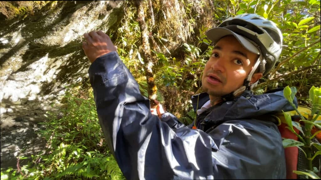 Expédition botanique et maronage dans les hauts de Salazie avec Rémi-Paul Grondin