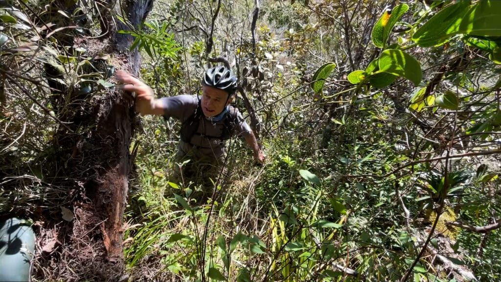 Expédition botanique et maronage dans les hauts de Salazie avec Rémi-Paul Grondin
