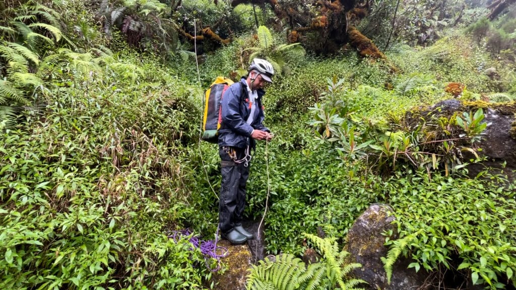 Expédition botanique et maronage dans les hauts de Salazie avec Rémi-Paul Grondin