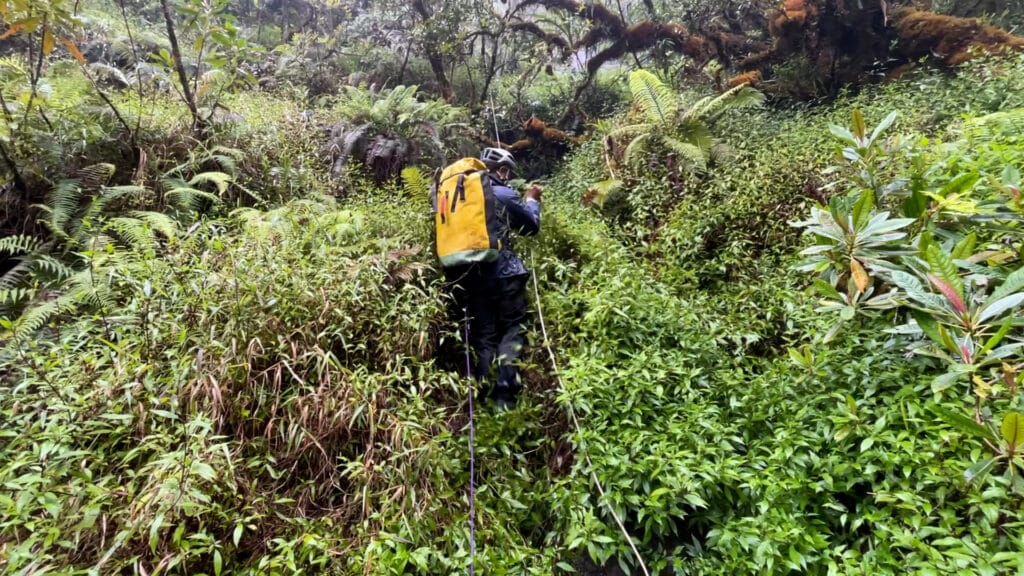 Expédition botanique et maronage dans les hauts de Salazie avec Rémi-Paul Grondin