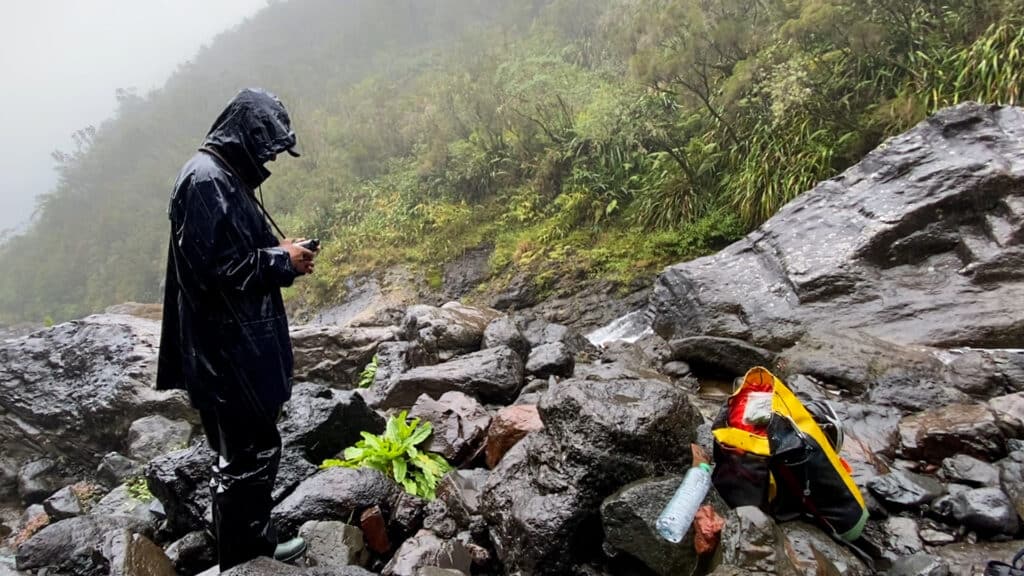 Expédition botanique et maronage dans les hauts de Salazie avec Rémi-Paul Grondin
