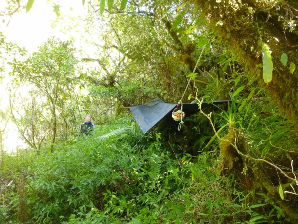 Expédition botanique et maronage dans les hauts de Salazie avec Rémi-Paul Grondin