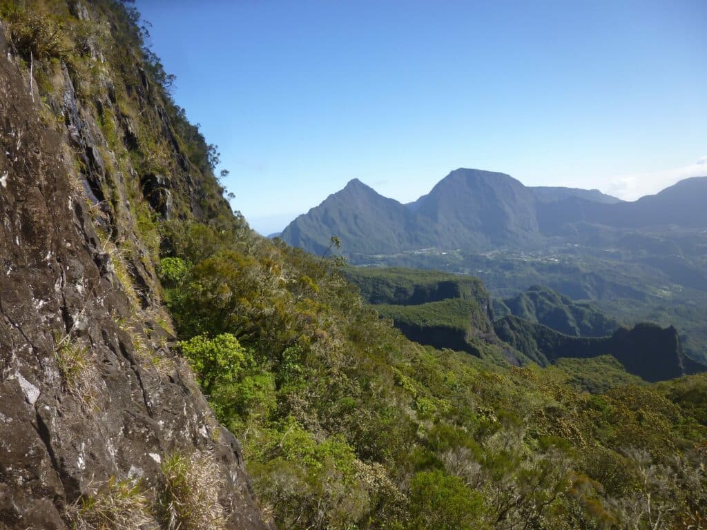 Expédition botanique et maronage dans les hauts de Salazie avec Rémi-Paul Grondin