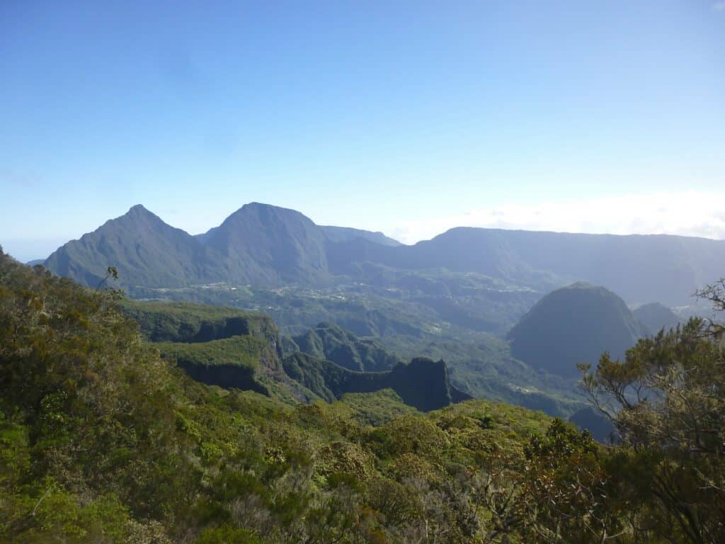Expédition botanique et maronage dans les hauts de Salazie avec Rémi-Paul Grondin