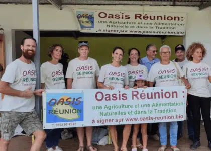 Oasis Réunion