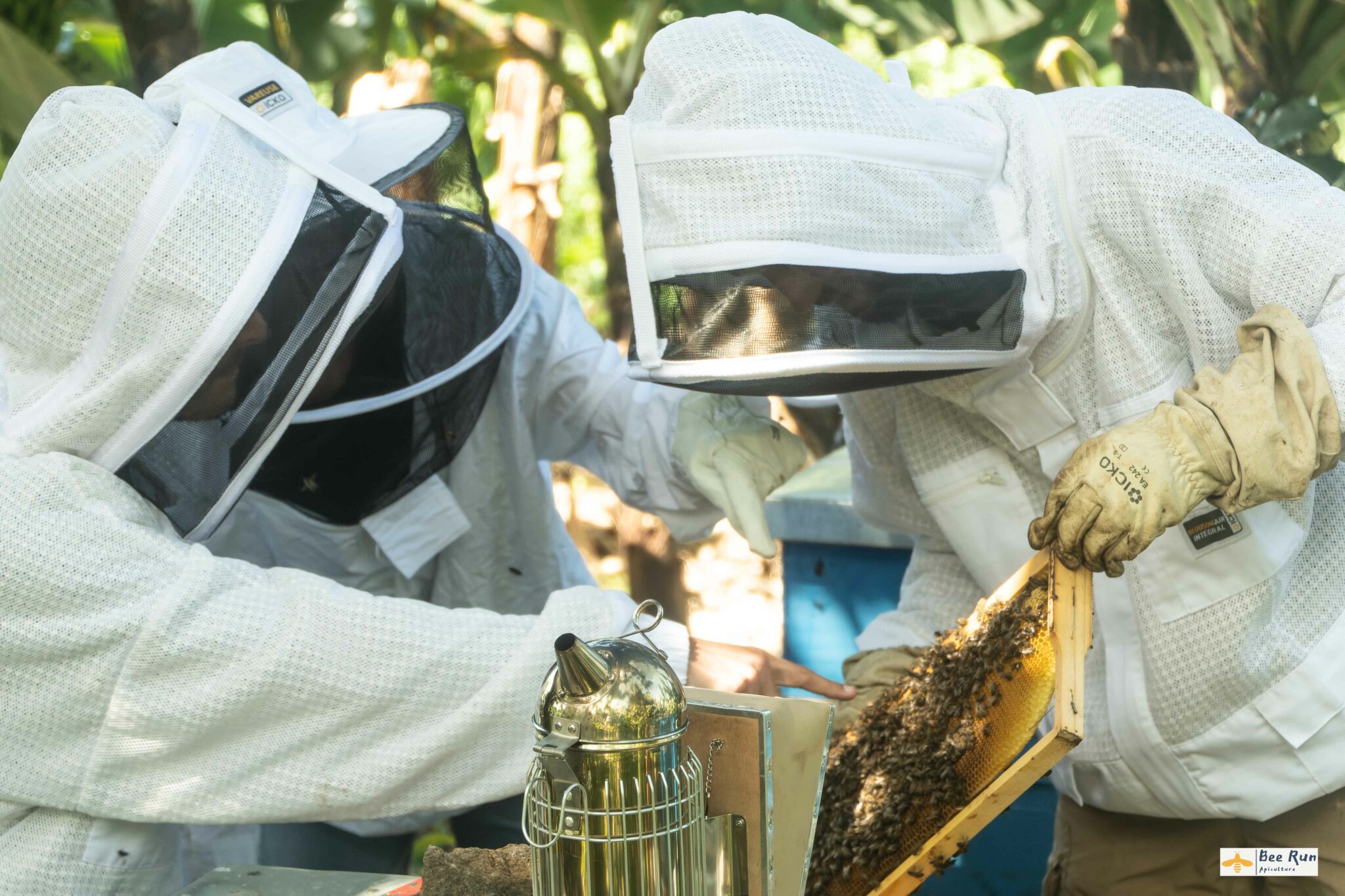 Bee Run abeille apiculture