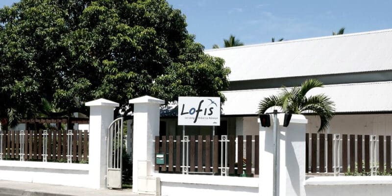 lofis lalang
