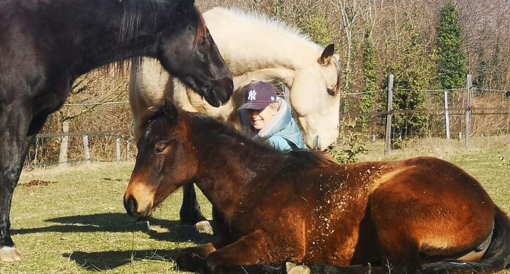 Florence Stevenson Le ballet d'Augustine chevaux roman