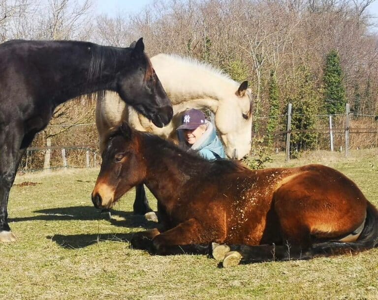 Florence Stevenson Le ballet d'Augustine chevaux roman