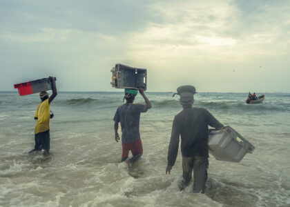 Les hommes se pressent pour aller récupérer les poissons. Il faut aller vite car les bateaux ne s'arrêtent que quelques minutes avant de repartir en mer.