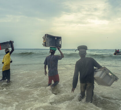 Les hommes se pressent pour aller récupérer les poissons. Il faut aller vite car les bateaux ne s'arrêtent que quelques minutes avant de repartir en mer.
