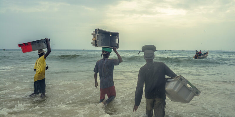 Les hommes se pressent pour aller récupérer les poissons. Il faut aller vite car les bateaux ne s'arrêtent que quelques minutes avant de repartir en mer.