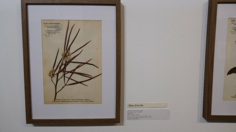 exposition galerie Hang'Art, Saint-Pierre, exposition Karl Télégone