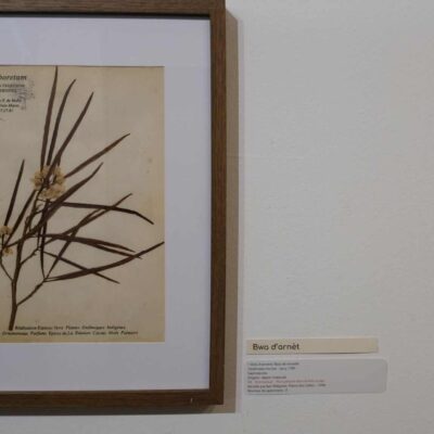 exposition galerie Hang'Art, Saint-Pierre, exposition Karl Télégone