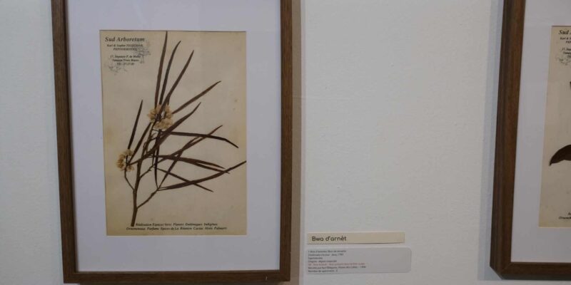 exposition galerie Hang'Art, Saint-Pierre, exposition Karl Télégone