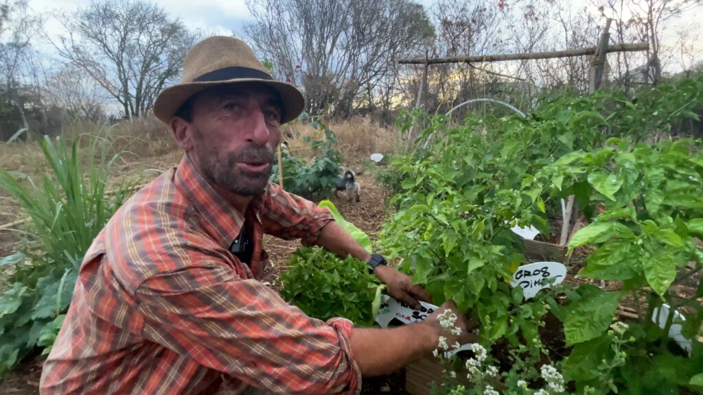 jardin partagé des cytises