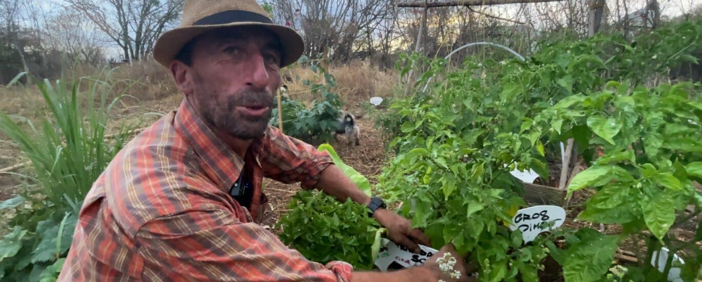 jardin partagé des cytises