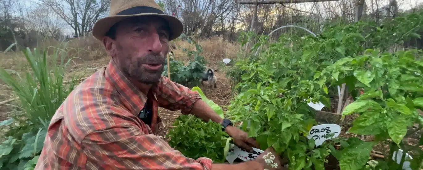 jardin partagé des cytises