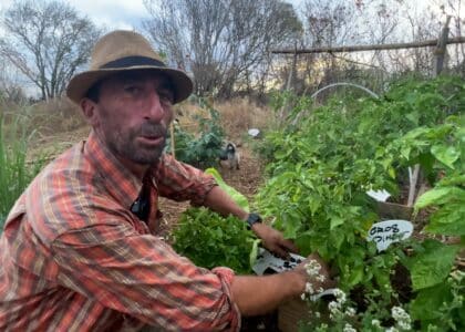 jardin partagé des cytises