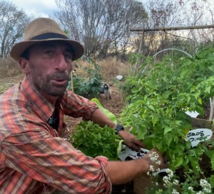 jardin partagé des cytises