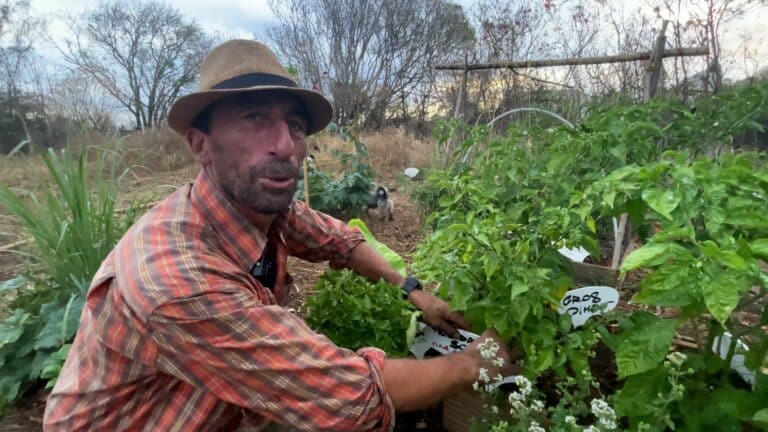 jardin partagé des cytises
