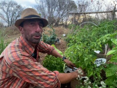 jardin partagé des cytises