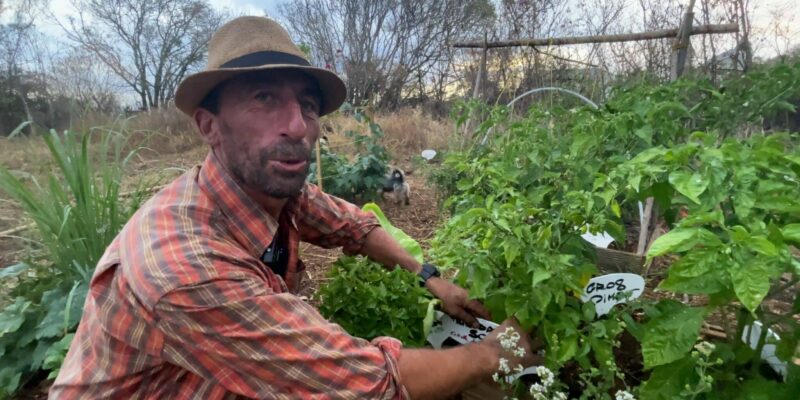 jardin partagé des cytises