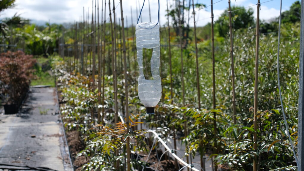 Test innovant pour repousser les insectes.