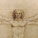 Sur cette célèbre image, Étude des proportions du corps humain selon Vitruve, l’artiste Léonard de Vinci met en scène l’homme au centre de l’univers, et étudie les proportions entre les différentes parties de son corps. Par exemple, quand les bras sont tendus à l’horizontale, leur longueur équivaut à la hauteur totale du personnage : l’homme s’inscrit exactement dans un carré.