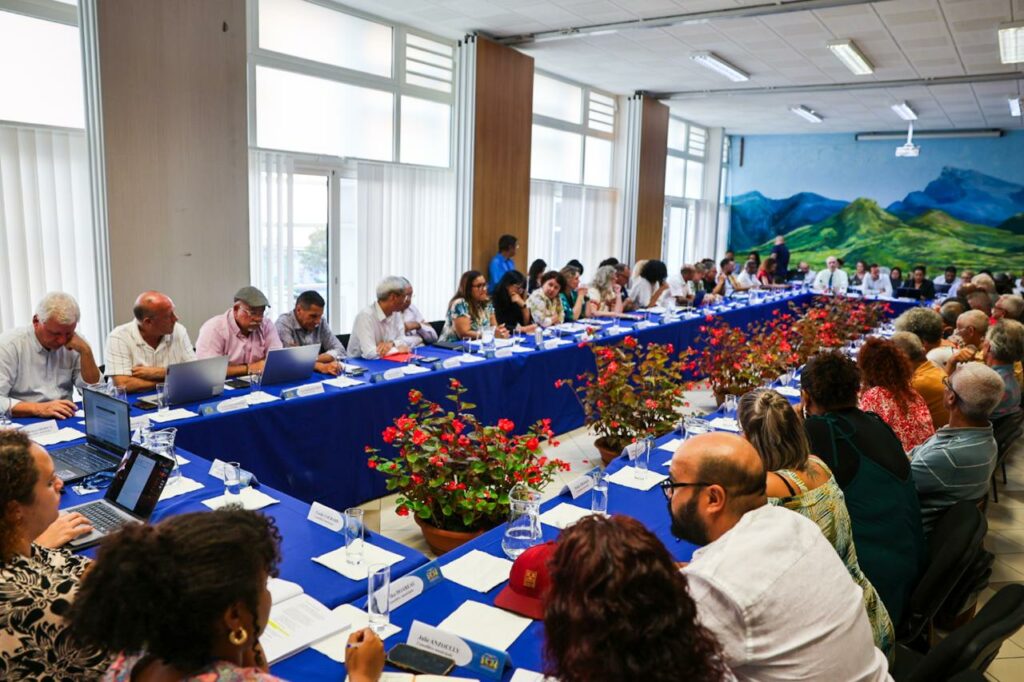 conseil municipal du Tampon