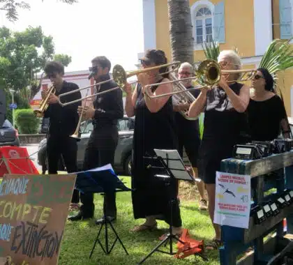manifestation fanfare contre éclairage lumière leds pour les pétrels et biodiversité Saint-Pierre Greenpeace Zéro Déchet manifestation fanfare contre éclairage lumière leds pour les pétrels et biodiversité Saint-Pierre Greenpeace Zéro Déchet