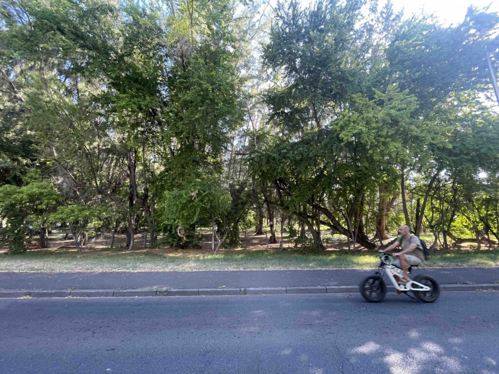 Projet Hotel Le repaire des boucaniers à la Saline les Bains