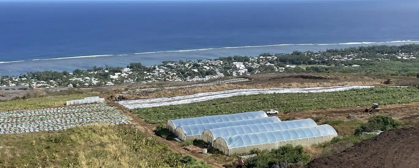 agriculture ouest irrigationilo basculement des eaux