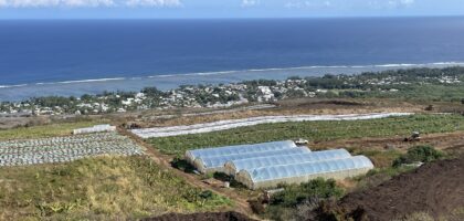 agriculture ouest irrigationilo basculement des eaux