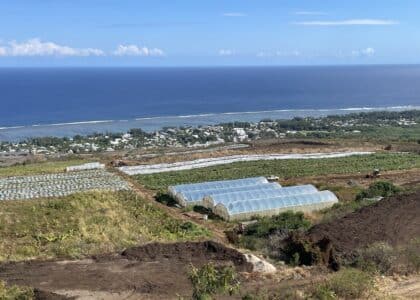 agriculture ouest irrigationilo basculement des eaux
