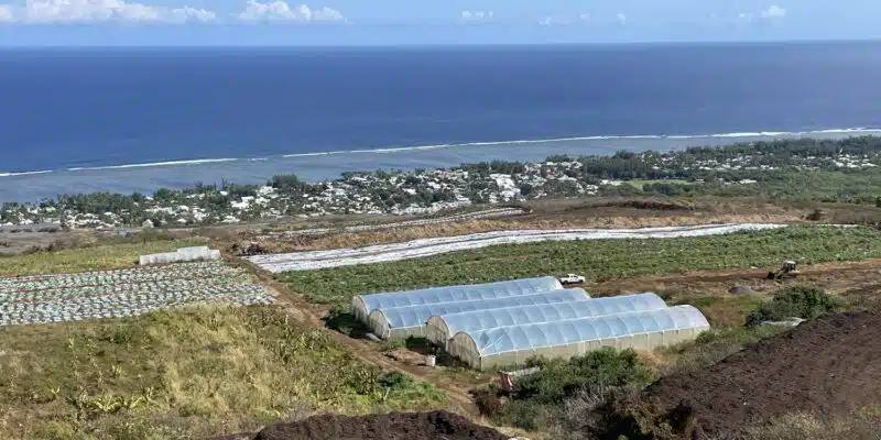 agriculture ouest irrigationilo basculement des eaux