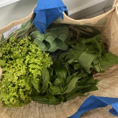 Un panier par semaine pour les adhérents au projet.