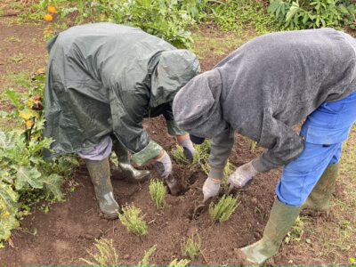 cyclo journalisme à Sainte-Marie Atelier chantier d'insertion terre en partage Femmes des hauts d'Adesir avec Vincent Célérine