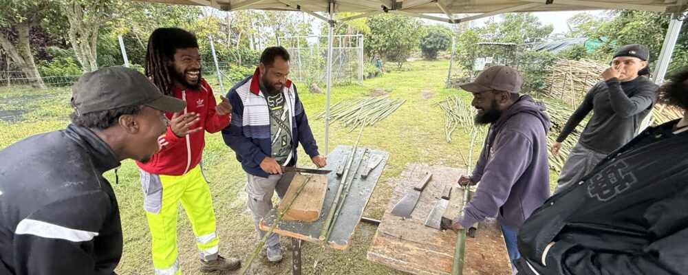 ACI Bamboo bambou