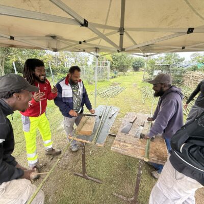 ACI Bamboo bambou