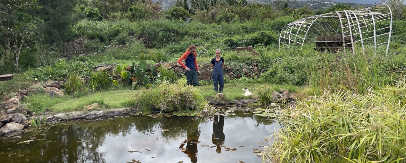 Mare biodiversité Carol Develter agriculture bio