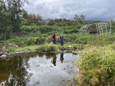 Mare biodiversité Carol Develter agriculture bio