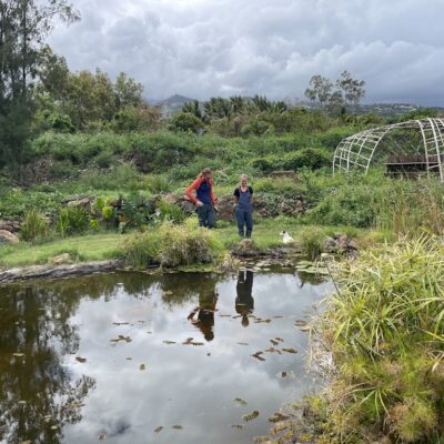 Mare biodiversité Carol Develter agriculture bio