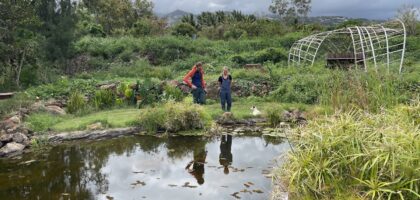 Mare biodiversité Carol Develter agriculture bio