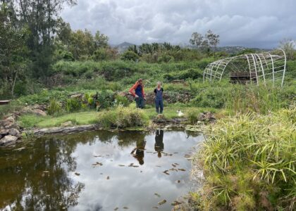 Mare biodiversité Carol Develter agriculture bio