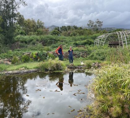 Mare biodiversité Carol Develter agriculture bio
