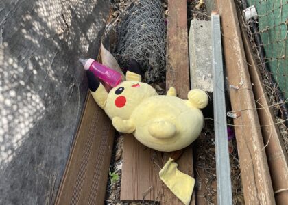 protection enfance maltraitance