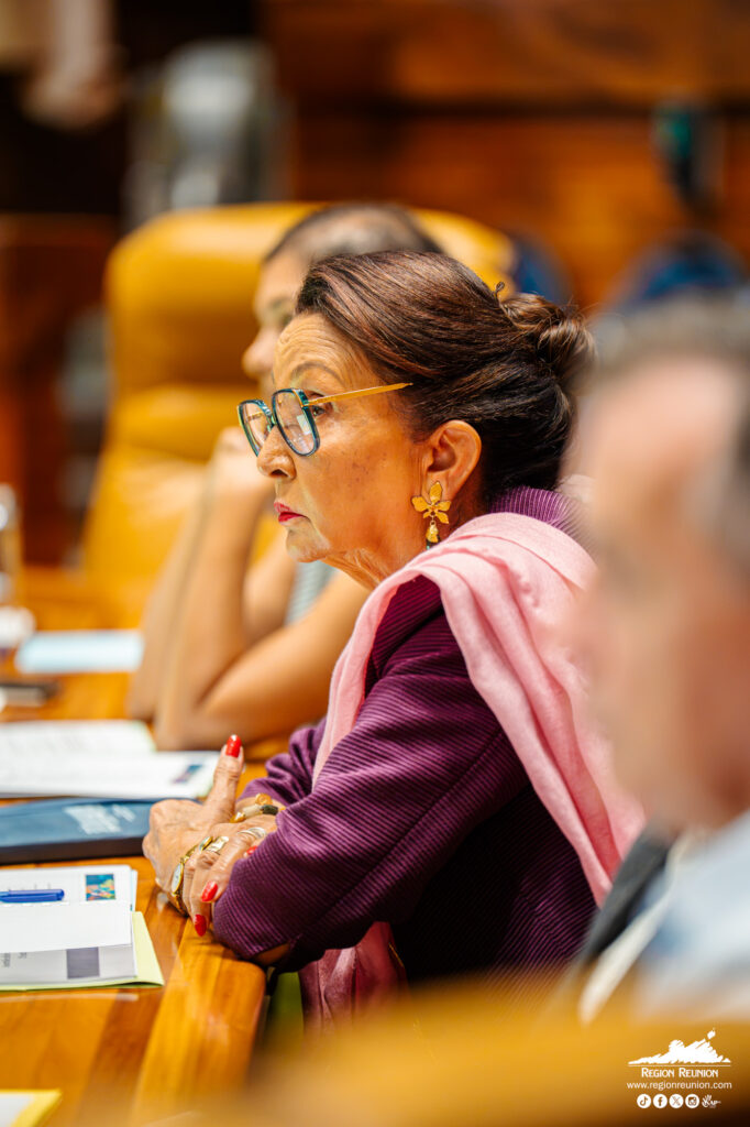 Révision du SAR - Assemblée plénière de la Convention citoyenne