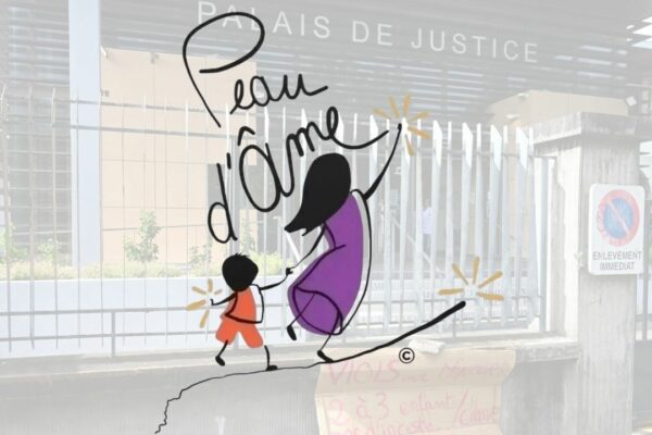 peau d'ame violence intrafamiliale inceste viol tribunal justice